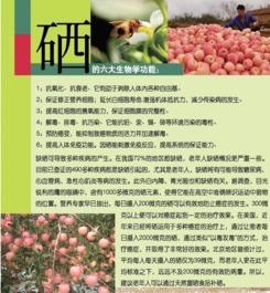 富硒健康禮，聚匯網上選——煙臺人的品質生活新標桿